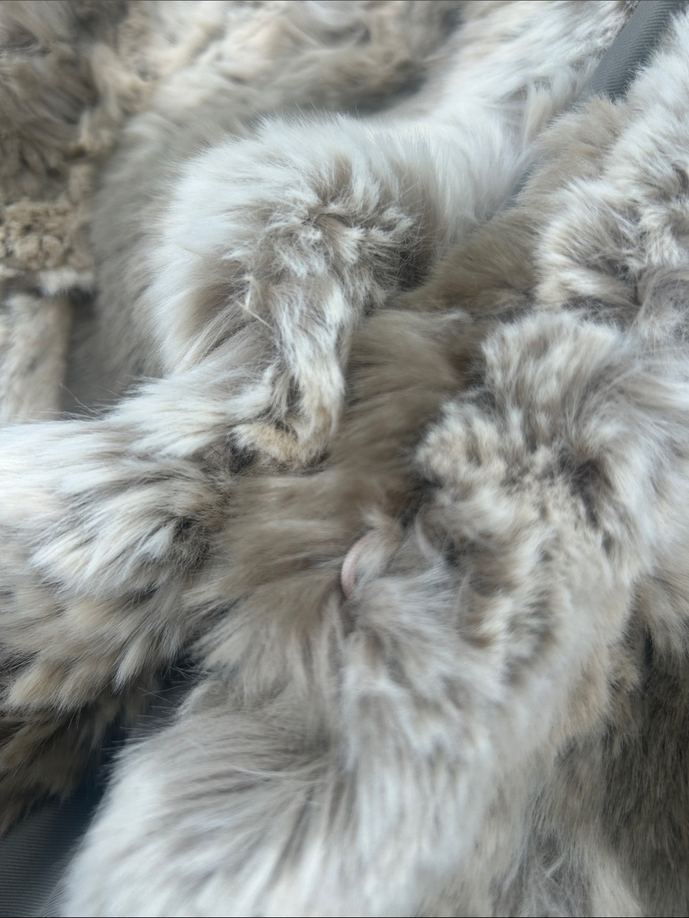 Baldwin Leonore Faux Fur Coat Women's Tan Faux Fur Coat Size Medium, - Picture 14 of 14